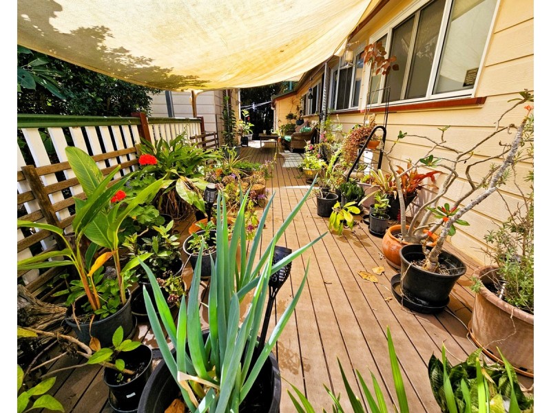 31 Basalt Street, Mareeba QLD 4880