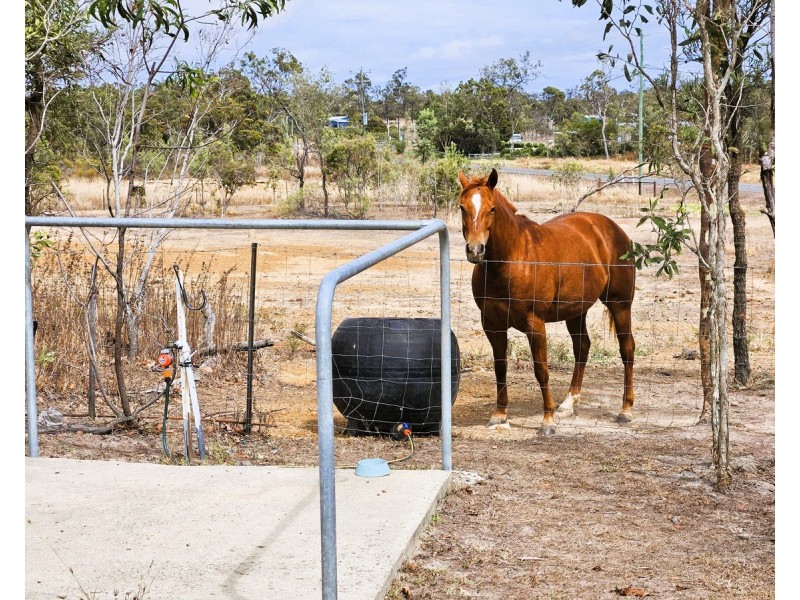 9 Macadamia Street, Arriga QLD 4880