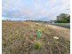 Lot 43, Andre Street, Mareeba QLD 4880