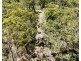 Oaky Valley, Mutchilba QLD 4872