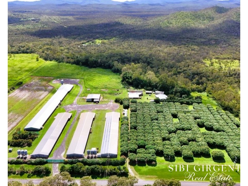 1004 Bilwon Road, Biboohra QLD 4880