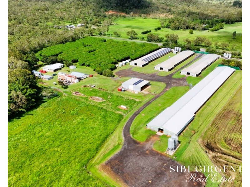 1004 Bilwon Road, Biboohra QLD 4880