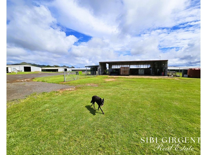1004 Bilwon Road, Biboohra QLD 4880