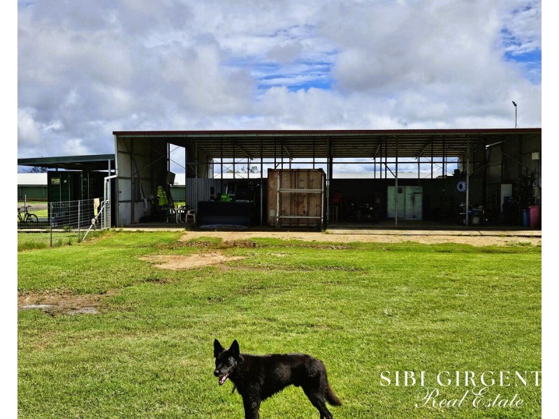 1004 Bilwon Road, Biboohra QLD 4880