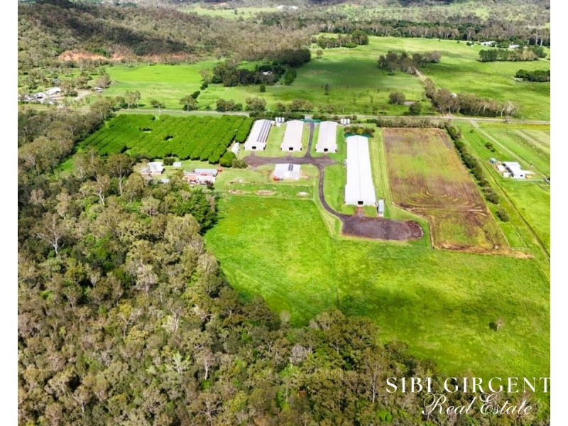 1004 Bilwon Road, Biboohra QLD 4880