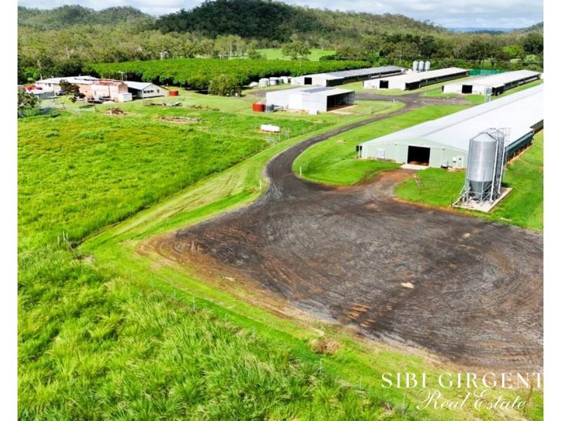 1004 Bilwon Road, Biboohra QLD 4880