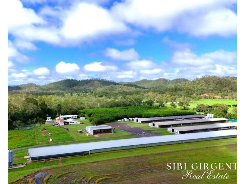 1004 Bilwon Road, Biboohra QLD 4880