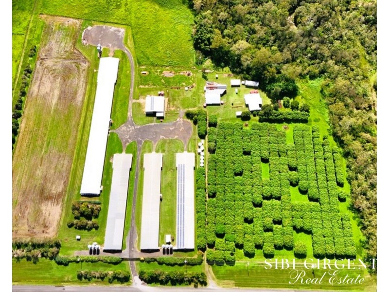 1004 Bilwon Road, Biboohra QLD 4880