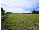 10 Andre Street, Mareeba QLD 4880
