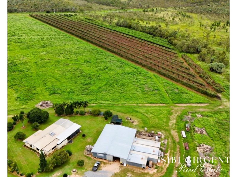994 Leafgold Weir Road, Dimbulah QLD 4872