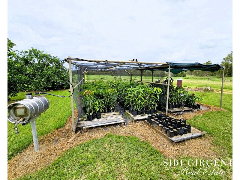 994 Leafgold Weir Road, Dimbulah QLD 4872