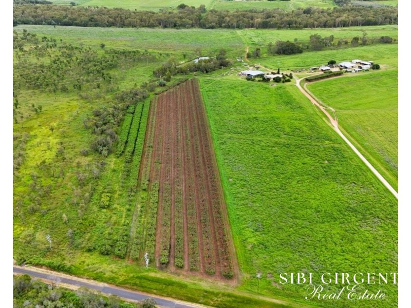 994 Leafgold Weir Road, Dimbulah QLD 4872