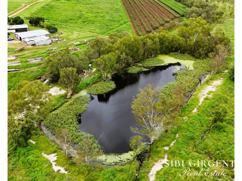 994 Leafgold Weir Road, Dimbulah QLD 4872