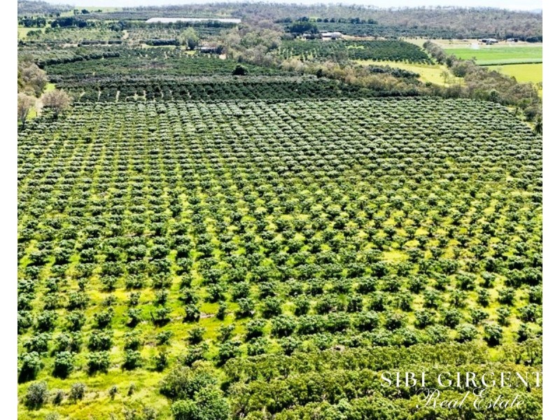 251 McBean Road, Arriga QLD 4880