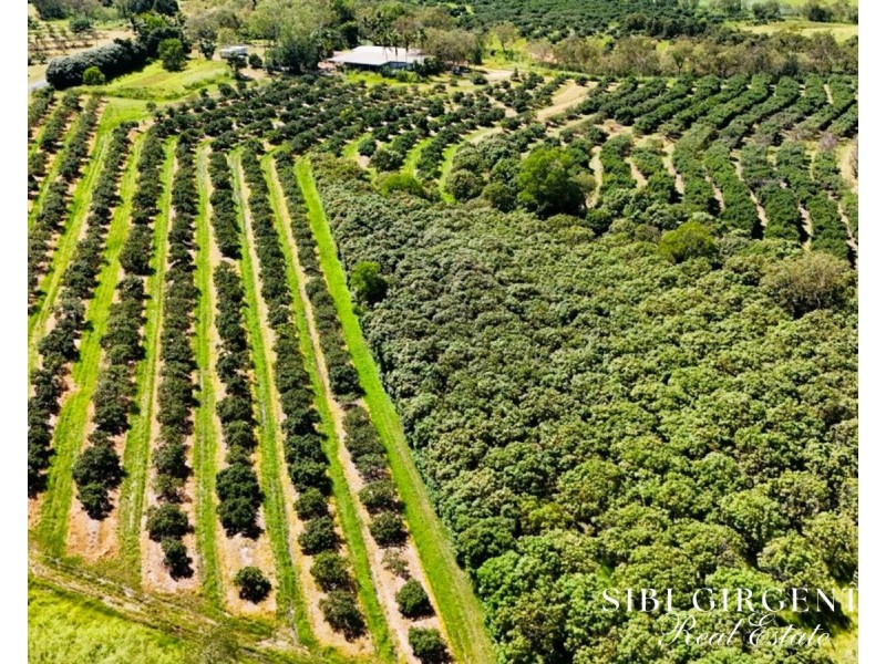 251 McBean Road, Arriga QLD 4880