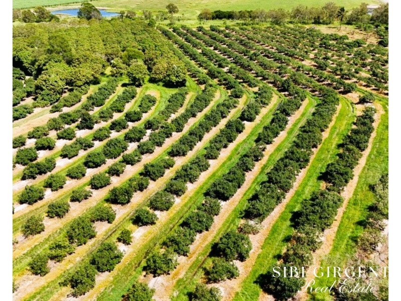 251 McBean Road, Arriga QLD 4880