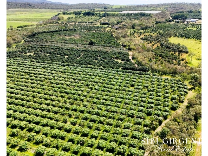 251 McBean Road, Arriga QLD 4880