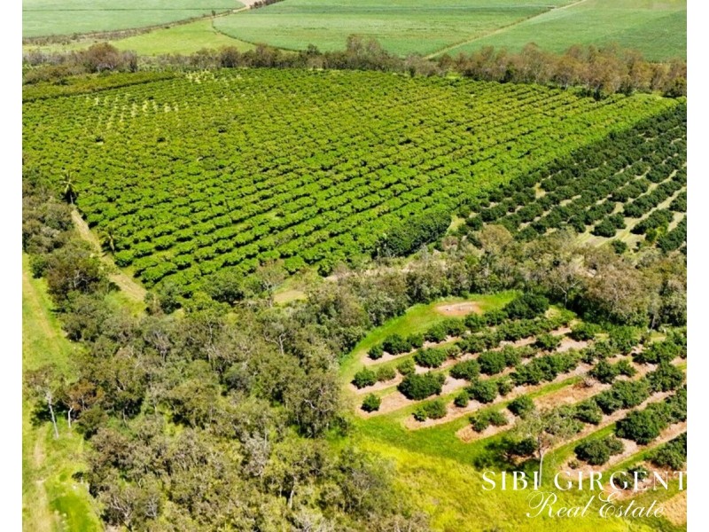 251 McBean Road, Arriga QLD 4880