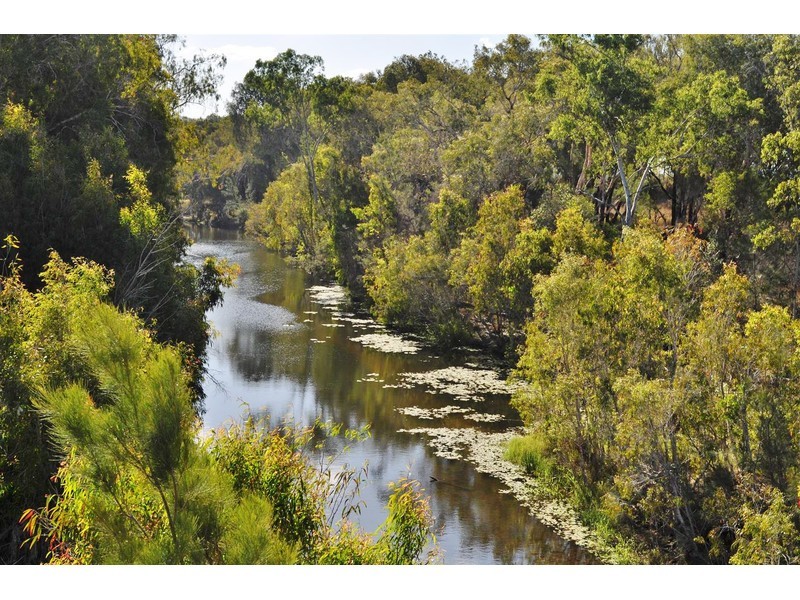 2855 Mareeba – Dimbulah Road, Mutchilba QLD 4872