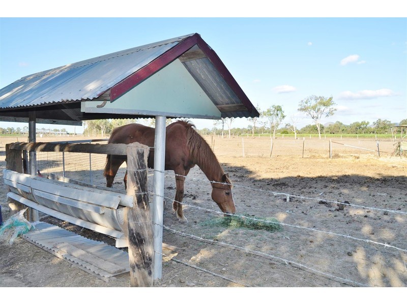 2855 Mareeba – Dimbulah Road, Mutchilba QLD 4872