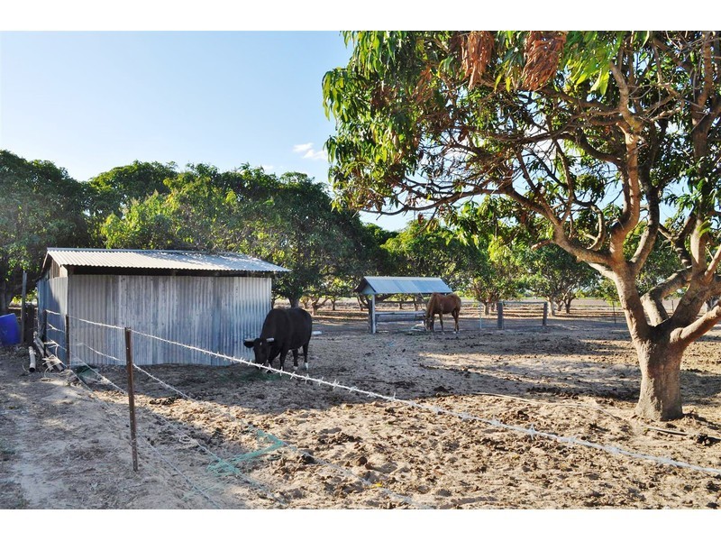 2855 Mareeba – Dimbulah Road, Mutchilba QLD 4872