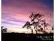 Lot 55,  Country Road Estate, Mareeba QLD 4880