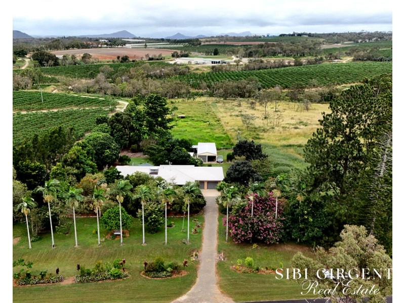 599 Springs Road, Paddys Green QLD 4880