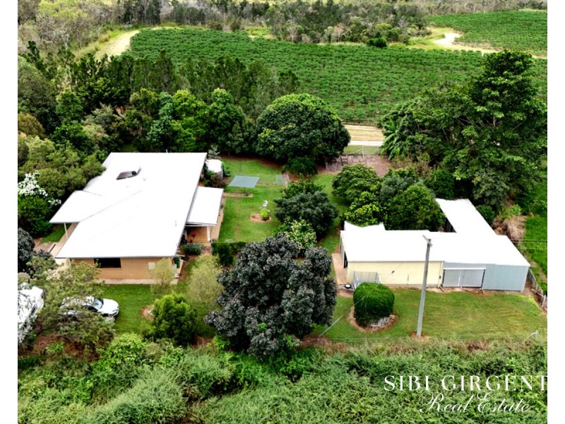 599 Springs Road, Paddys Green QLD 4880