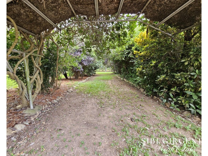 599 Springs Road, Paddys Green QLD 4880