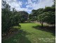 599 Springs Road, Paddys Green QLD 4880