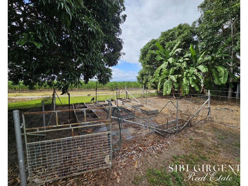 599 Springs Road, Paddys Green QLD 4880