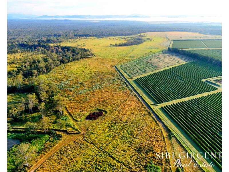 326 Springs Road, Paddys Green QLD 4880