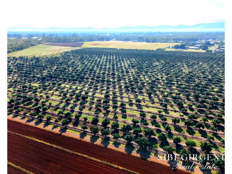 326 Springs Road, Paddys Green QLD 4880