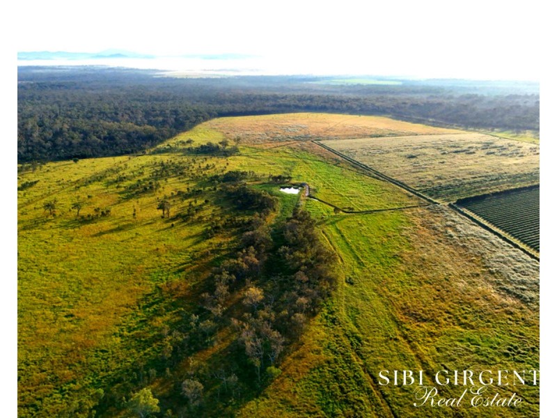 326 Springs Road, Paddys Green QLD 4880