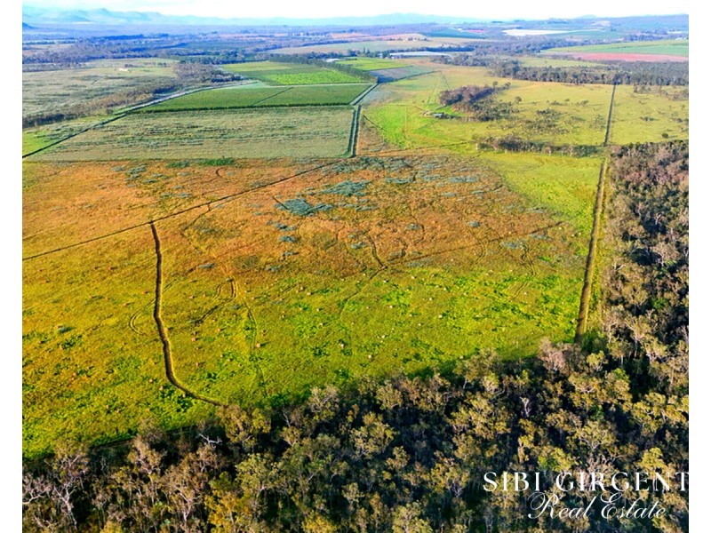 326 Springs Road, Paddys Green QLD 4880