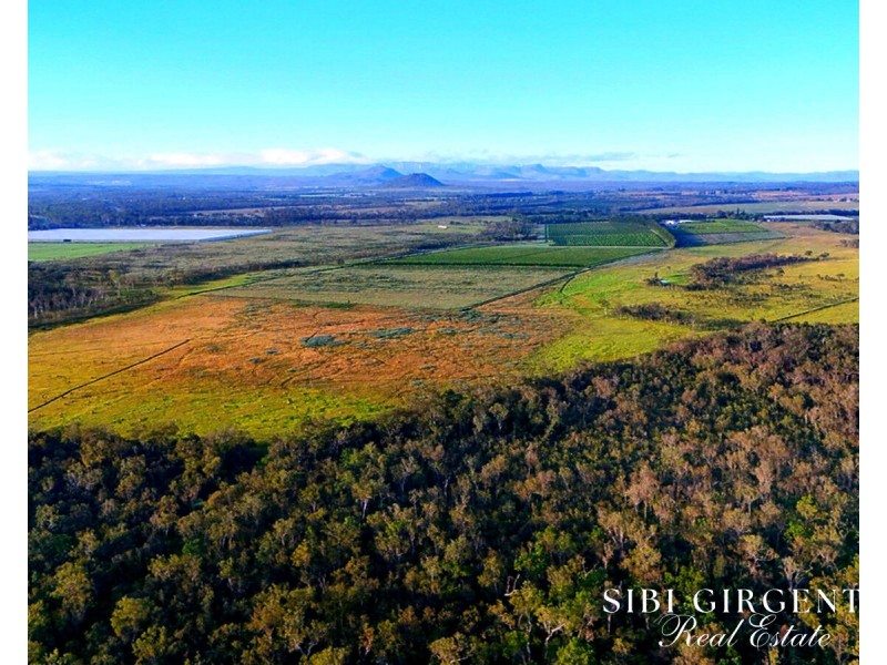 326 Springs Road, Paddys Green QLD 4880