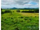 1297 Mt Molloy Street, Mossman QLD 4873