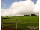 1297 Mt Molloy Street, Mossman QLD 4873