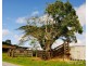 1297 Mt Molloy Street, Mossman QLD 4873