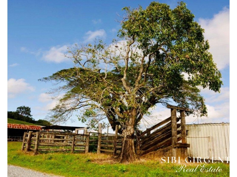 1297 Mt Molloy Street, Mossman QLD 4873