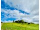 1297 Mt Molloy Street, Mossman QLD 4873
