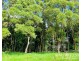 1297 Mt Molloy Street, Mossman QLD 4873
