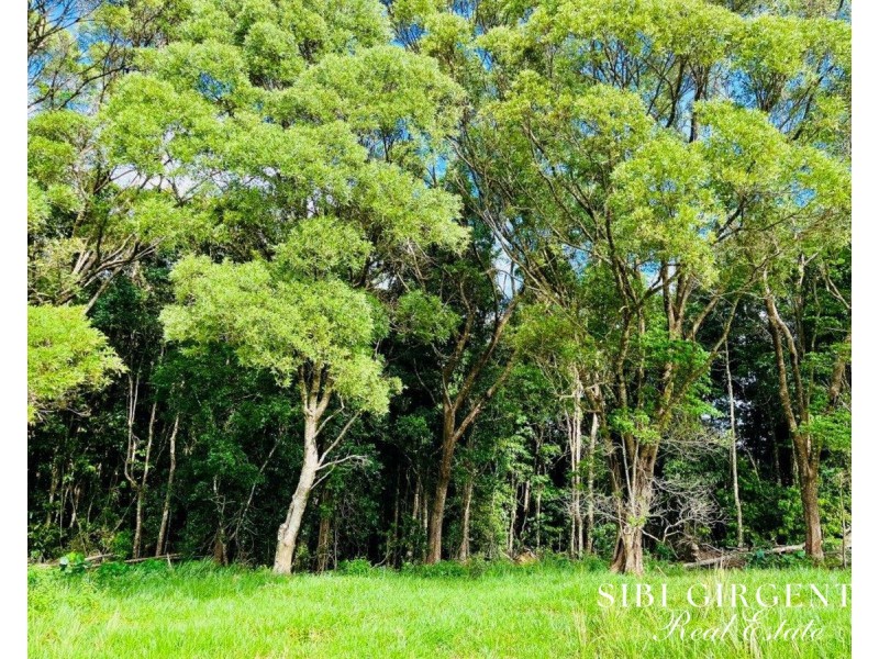 1297 Mt Molloy Street, Mossman QLD 4873