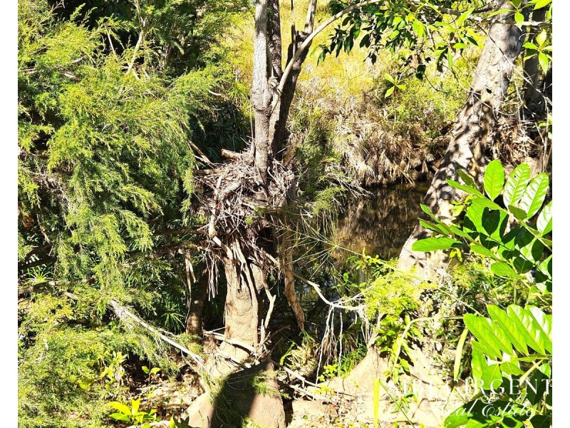 167 George Fabris Road, Mareeba QLD 4880