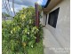 6 Grace Court, Mareeba QLD 4880