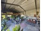 15 Brenaden Close, Dimbulah QLD 4872
