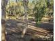 Lot 22, 836 Wolfram Road, Dimbulah QLD 4872