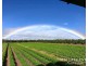 1611 Mareeba-Dimbulah, Arriga QLD 4880