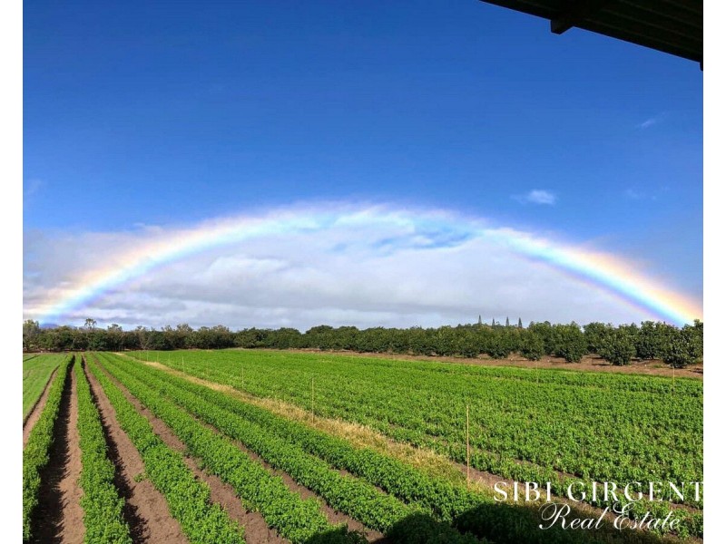 1611 Mareeba-Dimbulah, Arriga QLD 4880