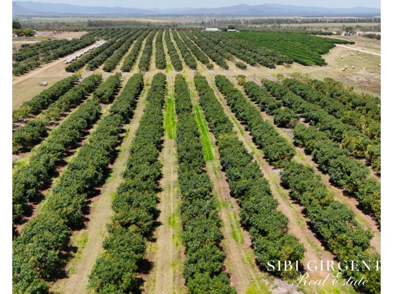1611 Mareeba-Dimbulah, Arriga QLD 4880